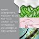 MAX Proteintherapie für das Haar: Shampoo (1,000 g) und Conditioner (1,000 g) und Feuchtigkeitsspender für das Haar (1,000 g) + Geschenk